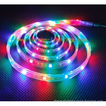 5050 Strip Light, RGB Strip Light, 60 LEDs/M, IP67
